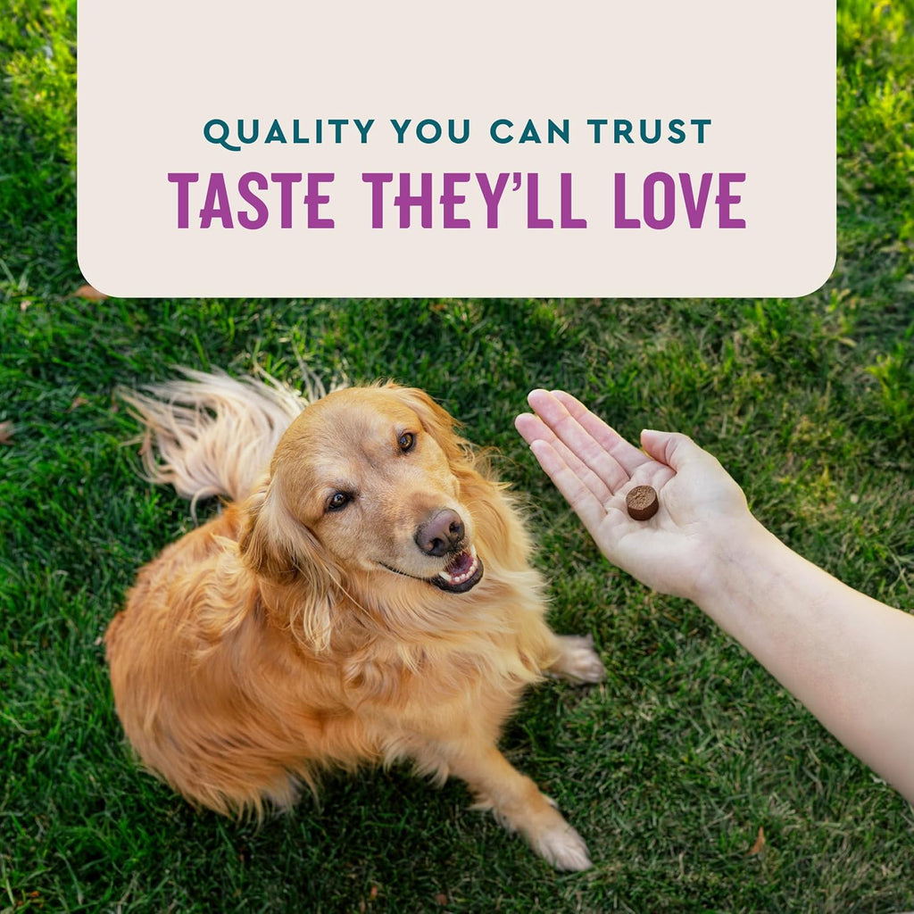 VetIQ Calming Support Supplement for Dogs, Calming Chews Help Manage Stress and Promote Relaxation, Anxiety Relief for Dogs, Made in The USA, 60 Count