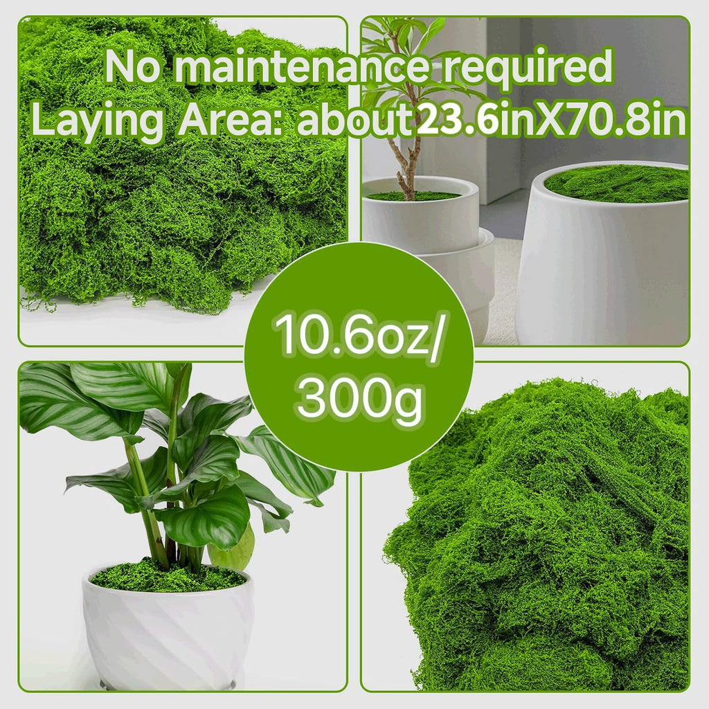 Aspamms Fake Green Moss for Potted Plants Indoor,10.6oz Artificial Moss for Crafts, Faux Moss Decor for Fairy Garden, DIY Decorative, Model Making, Walls, Glass Containers, Home
