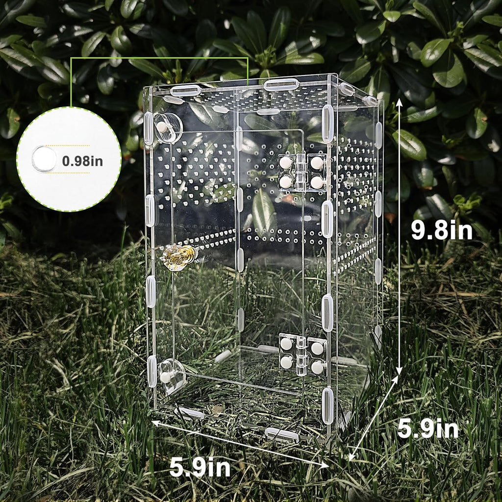 Acrylic Jumping Spider Enclosure Box: 10x6x6 Inch Transparent Habitat with Ventilation Holes, Escape-Proof Terrarium for Reptile Pet, Easy to Clean & Observe