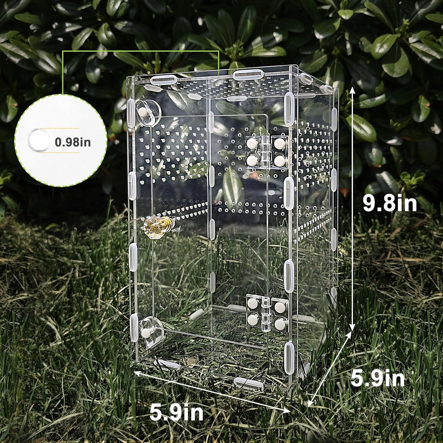 Acrylic Jumping Spider Enclosure Box: 10x6x6 Inch Transparent Habitat with Ventilation Holes, Escape-Proof Terrarium for Reptile Pet, Easy to Clean & Observe