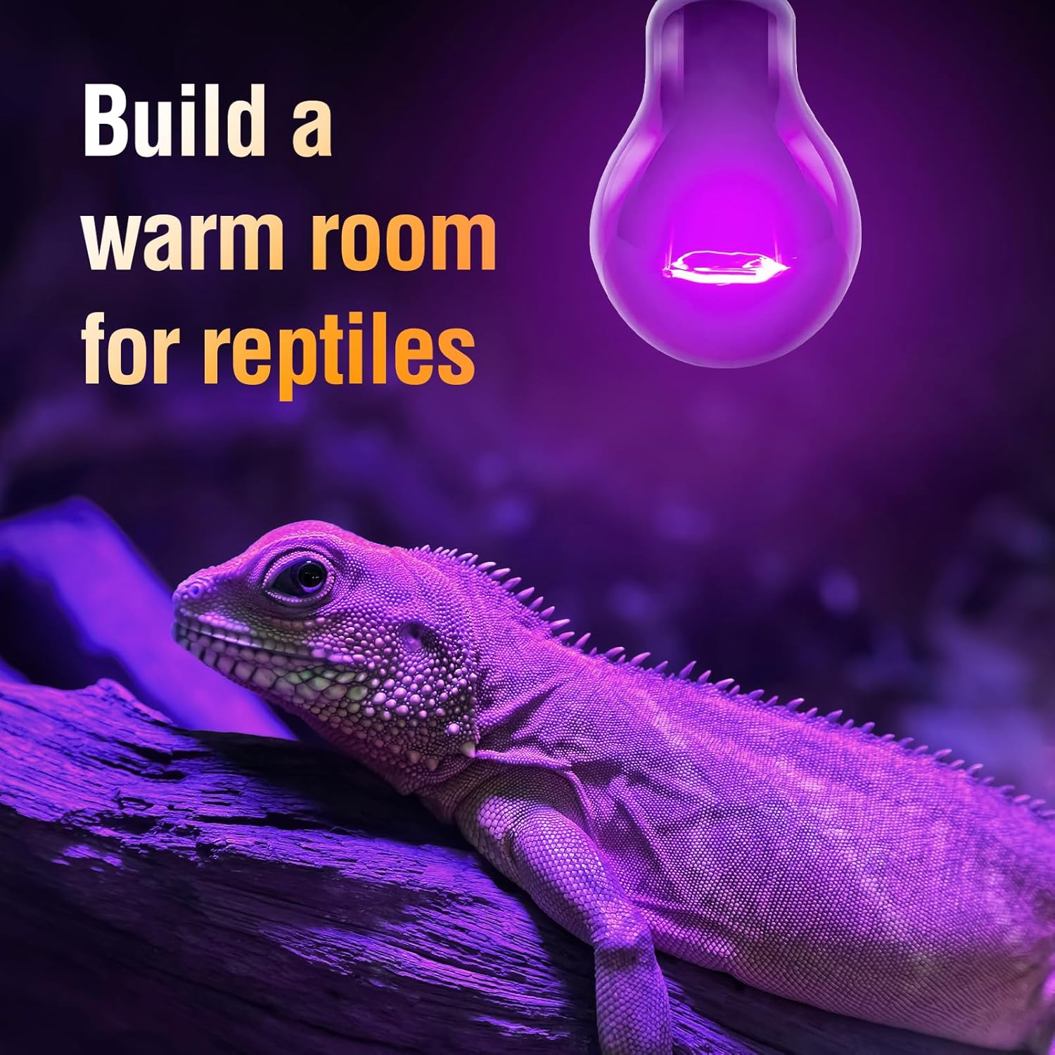 Leoterra 75W Reptile Heat Lamp Bulb 2-Pack, Night Black Moonlight Infrared Heat Lamp for Nocturnal Reptiles, Thermostat Compatible Basking Spot Light for Bearded Dragon, Turtle, Snake Tank Terrarium