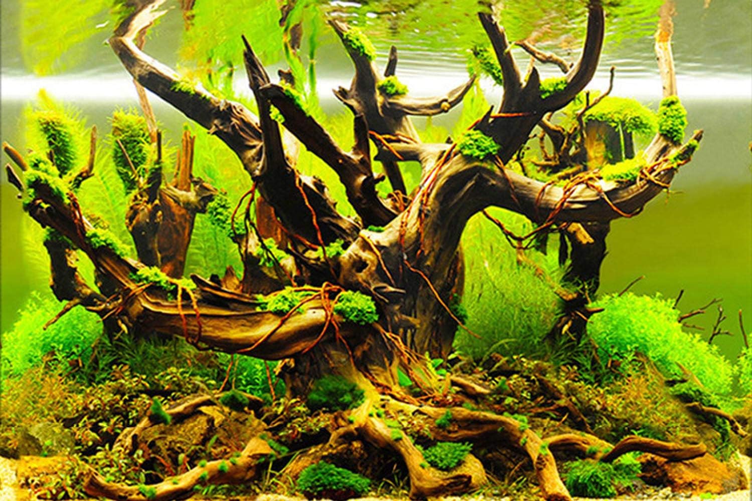 ELEBOX New 23" x 71" Fish Tank Background Paper Wallpaper 2 Sided Colorful Seaweed Water Plants Aquarium Poster Decorations