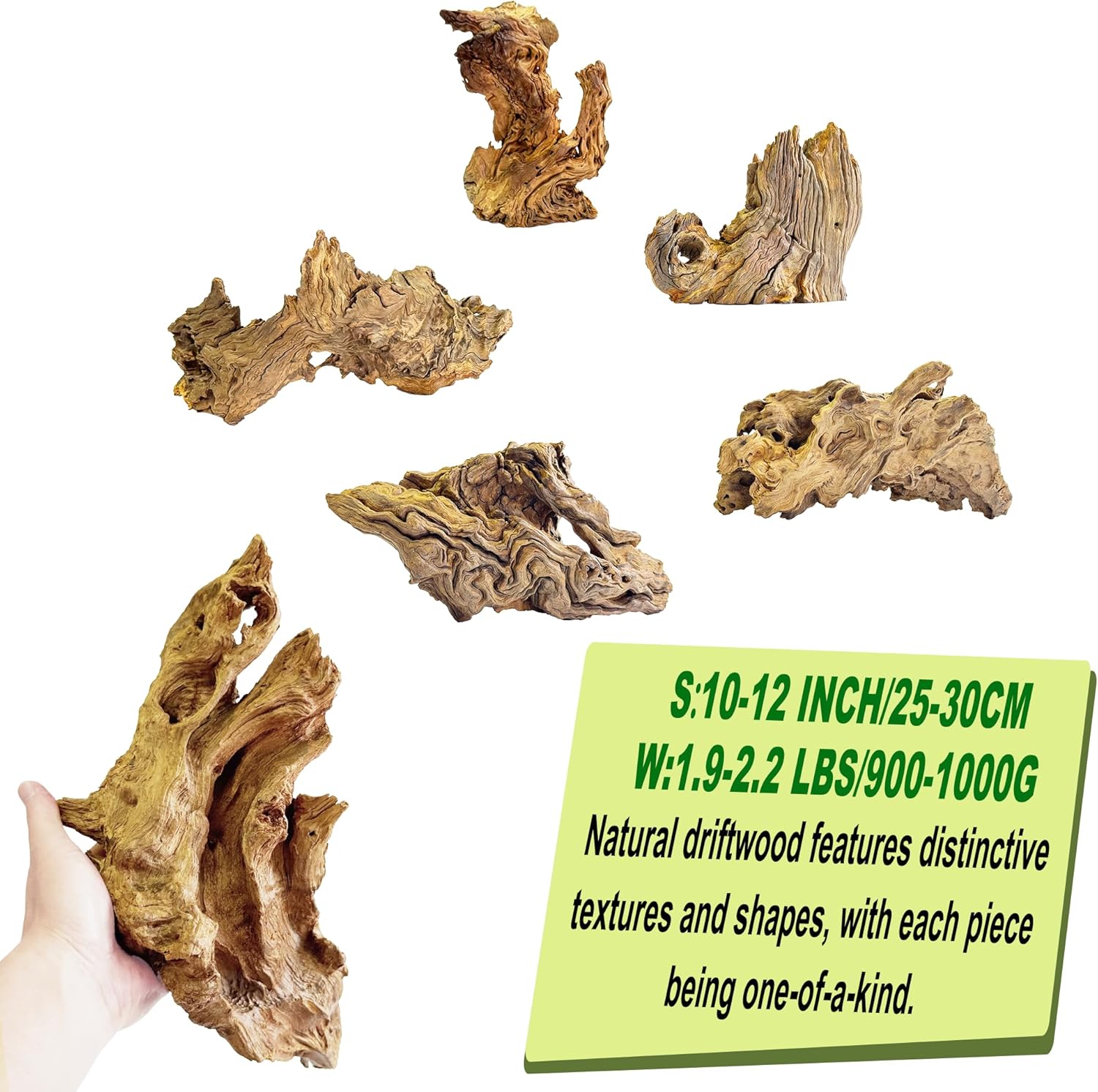 Natural Driftwood for Aquarium Decor,Reptile Habitat&Home DIY Decor,Naturally Unique Shapes Weathered Wood,Easy to Use (M-(10-12 Inch/1.9-2.2 Lbs)-Pack of 2)