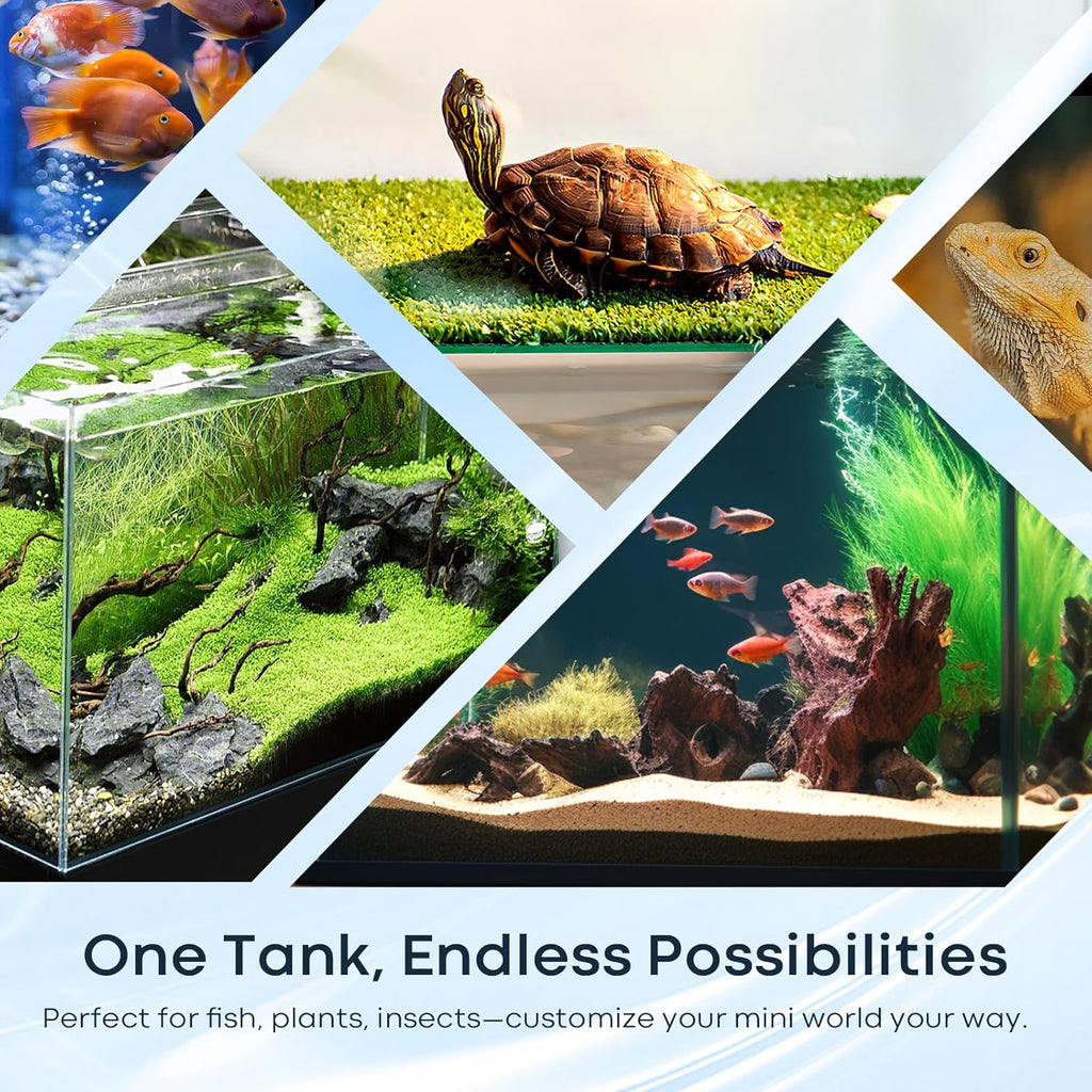 6 Gallon Glass Fish Tank 5 Gallon, Small Aquarium Fish Bowl Cube for Betta Goldfish Snails Shrimp Aquatic Planting, Easy to Maintain Ultra Clear Rimless Design Low Iron