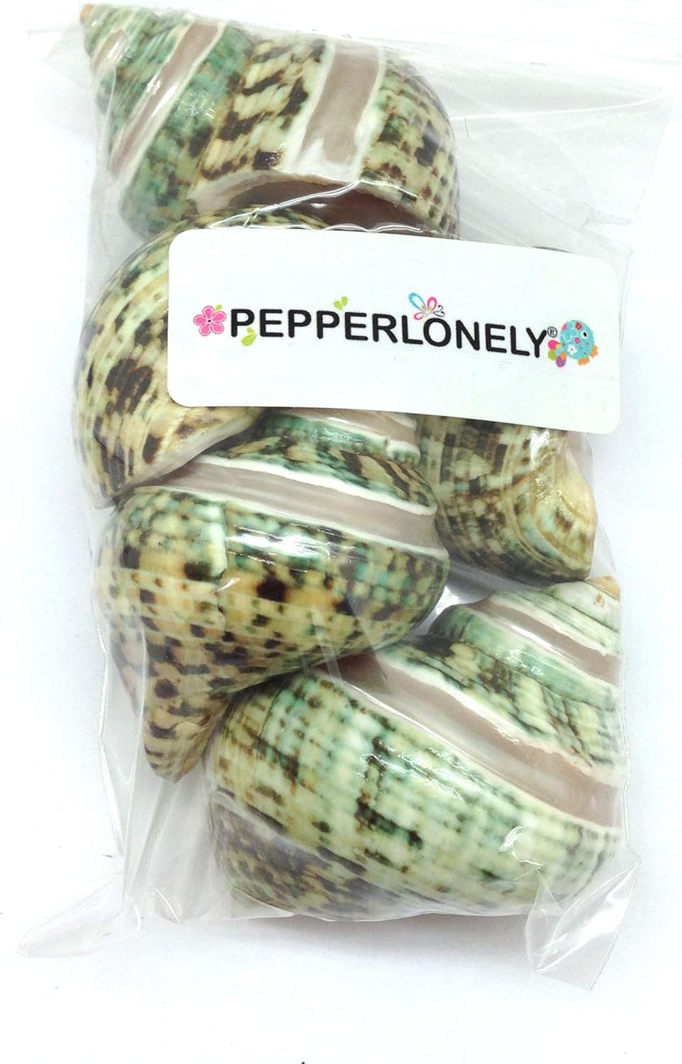 PEPPERLONELY 5PC Green Turbo with Two Pearl Bands, Hermit Crab Sea Shells, 2 Inch Up