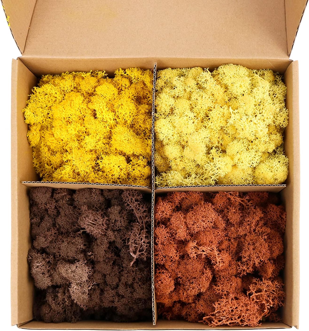 Amoueterno Preserved Moss 4 Color Reindeer Moss,Total 14OZ Each Color 3.5OZ, Natural Real Green Moss DIY Kit Moss Crafts Art Wall Decor Florist Decor Yellow/Light Yellow/Brown/Orange Brown