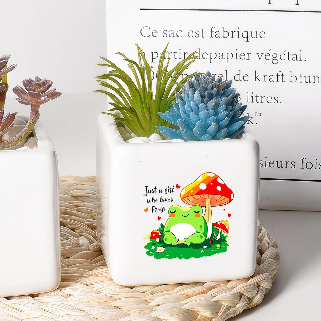 Frog Succulent Planter Flower Plant Pot Small, Gifts for Women Teens Girls Kids, Frog Lovers Themed Stuff Accessories Things Decor Merch, Home Office Table Desk Decoration!