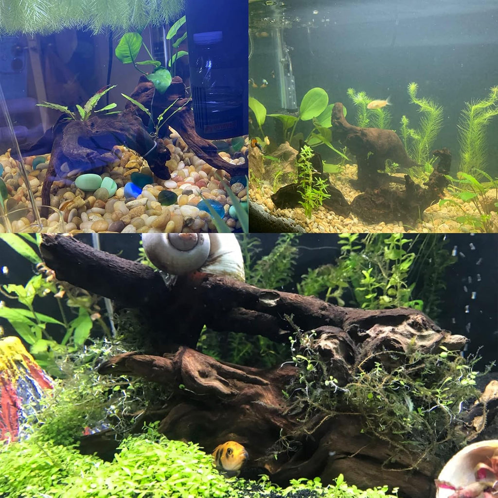 Tfwadmx Natural Driftwood for Aquarium Decor-4 Pieces 5-8" Assorted Driftwood,Fish Tank Drift Wood Decoration, Freshwater Wood Branches Ornament for Reptile Terrarium,Air Plants