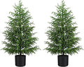 Norfolk Pine Christmas Tree Real Touch Faux Tree with Black Pot, Realistic Indoor Holiday Decor fo Christmas Entryway, Living Room Office (4FT-2Pack)