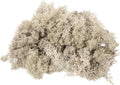 MECCANIXITY 4.6oz Preserved Reindeer Moss, Brown Decorative Artificial Fake Moss for Potted Plants Indoor Crafts Lichen Centerpieces Decor
