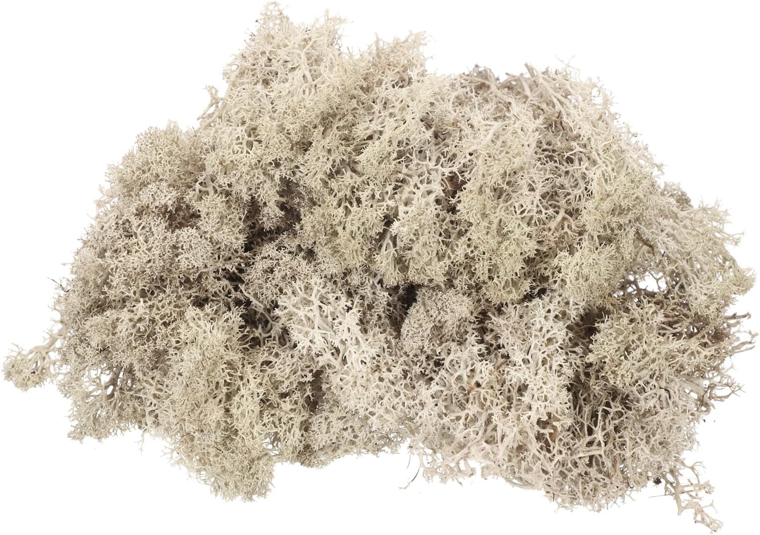 MECCANIXITY 4.6oz Preserved Reindeer Moss, Brown Decorative Artificial Fake Moss for Potted Plants Indoor Crafts Lichen Centerpieces Decor