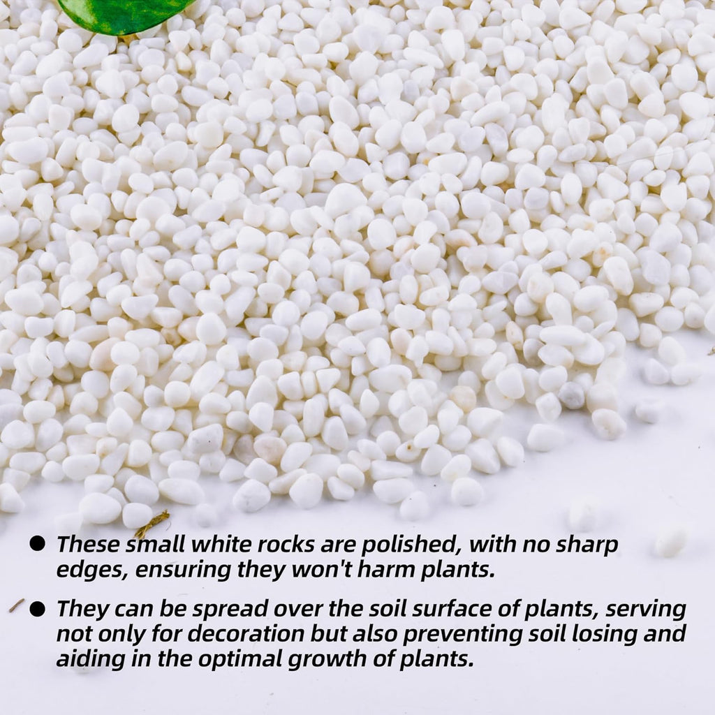 7lb 1/4" Small White Rocks for Plants,Potting,Succulents Aquarium Fish Tank Garden Vases Decorative Pebbles Gravel Rocks Stones