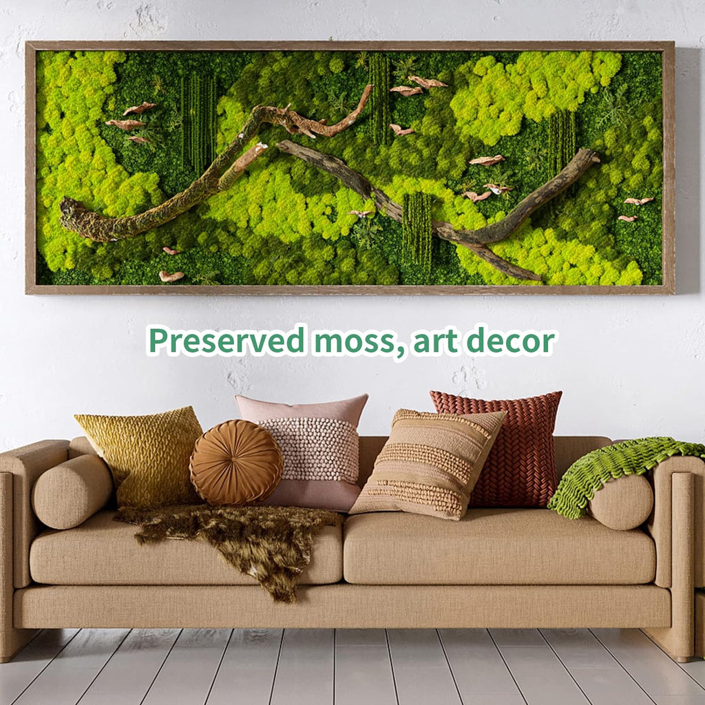 TurelinnG Preserved Moss 3 OZ Reindeer Craft Moss, Fake Moss Suitable for Crafts, Flowerbeds, Home Office Artistic Decoration Green