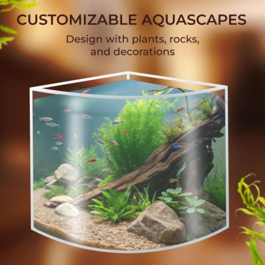 Skywin Corner Fish Tank, 1.71 Gallon Acrylic Fish Tank, Corner Aquarium for Real Life Fish, Aquarium for Small Fish, Aquariums & Fish Bowls