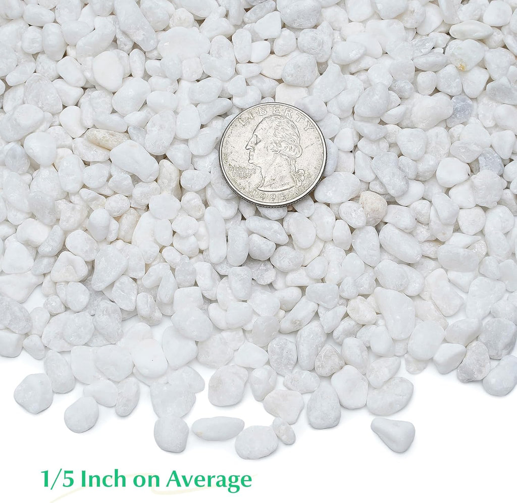 Mr. Fireglass 2lbs White Pebbles,1/5" Natural Decorative River Rocks Aquarium Gravel for Indoor Plants, Vases, Succulents and Outdoor Garden Landscaping