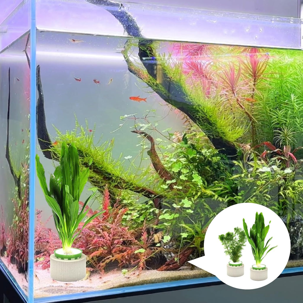 12 Pack Aquarium Plant Weights, Aquatic Plants Fixed Ring Set, Anti-Floating Ceramic Aquarium Plant Rings, Aquarium Landscape Decoration Fish Tank Accessories 1.8 x 1.3 Inch