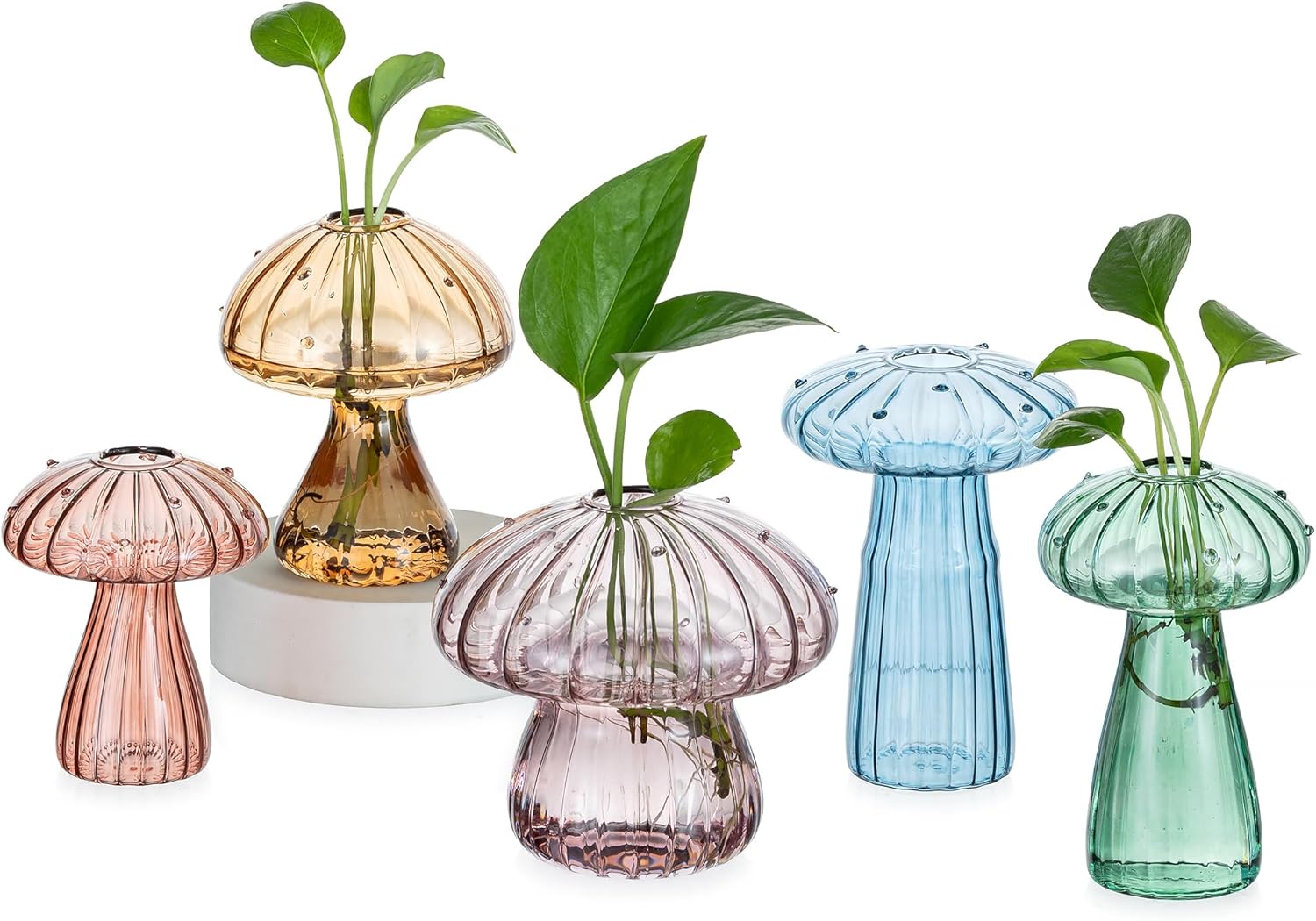 Hewory Glass Mushroom Propagation Stations: Set of 5 Unique Propagation Jars Glass Planter for Indoor Plants Home Decor - Colorful Mushroom Vase Christmas Birthday Gifts for Plant Lovers Women Girls