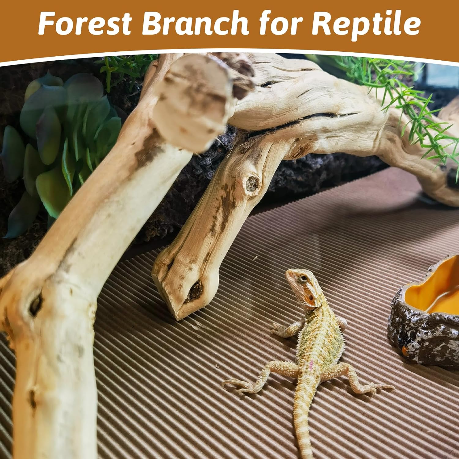 Reptile Branches for Climbing Natural Snake Climb Branch Extra Large Wood Forest Tree Trunk Decor Lizard Habitat Terrarium Decorations for Bearded Dragon Geckos Chameleon Frog