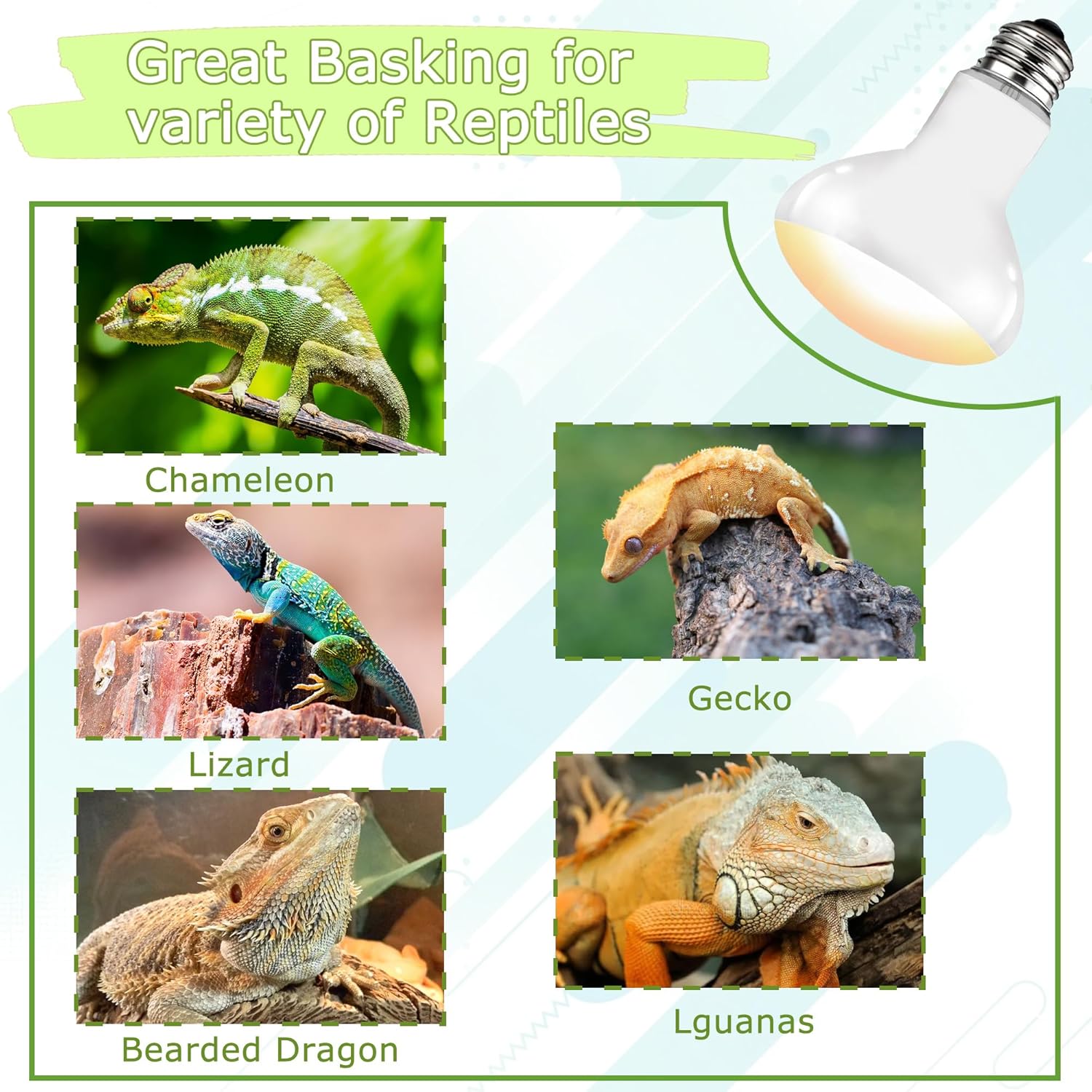 UVA Reptile Heat Lamp Bulb 100W - Basking Light for Bearded Dragons, Lizards, Tortoises, Chicks & Amphibians, Simulated Sunlight for Terrariums, Enhances Bone Strength & Overall Health