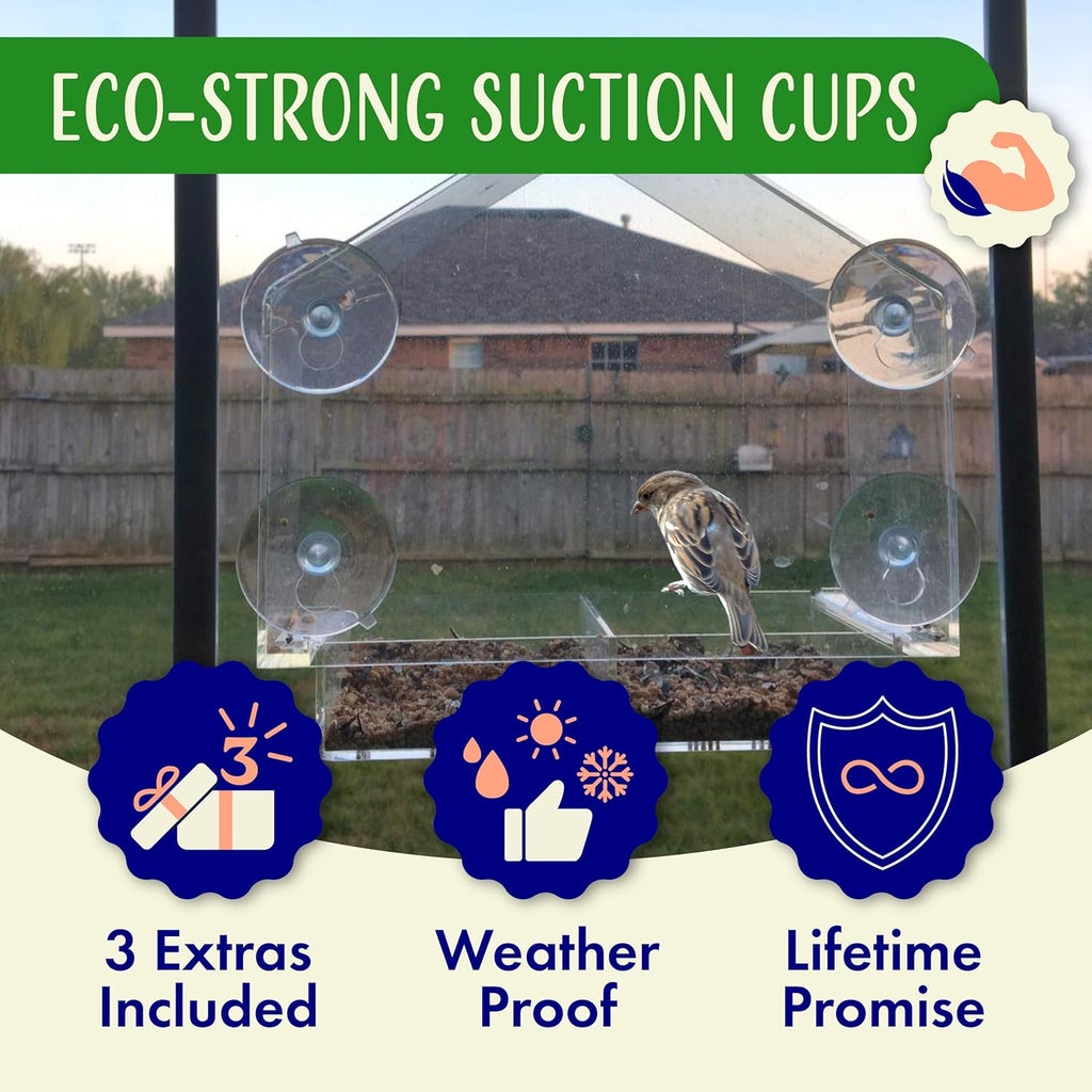 Window Bird Feeder with Strong Suction Cups, Clear Window Feeders for Outside - Transparent Bird House, Balcony Glass Mount, Acrylic Cat, Kids & Elderly Viewing