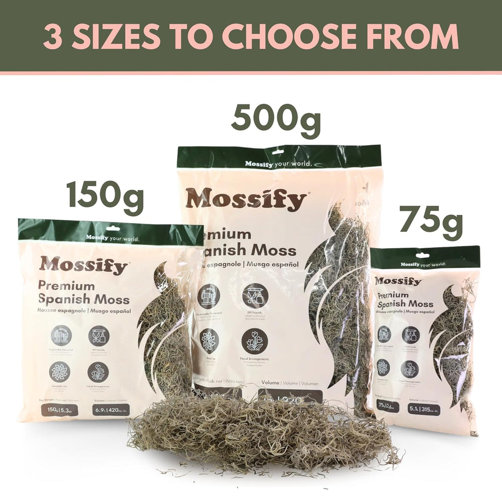 Mossify Premium Spanish Moss for Plants Indoor & Outdoor 500g, 1.1lbs - Natural Dried Preserved Moss for Crafts, Terrariums, Floral Arrangements, Garden & Home Décor – Humidity Retaining Spanish Moss