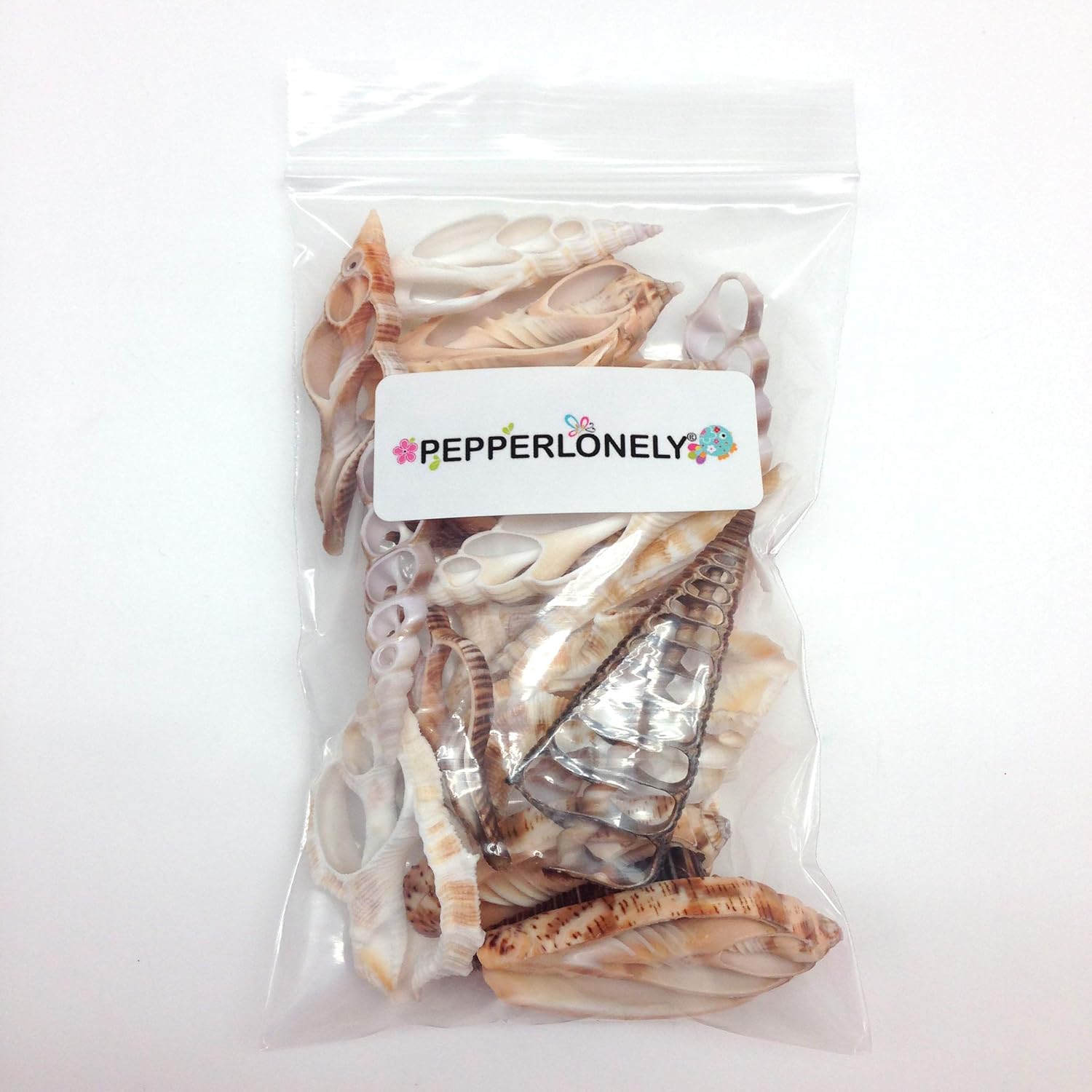 PEPPERLONELY 20PC Center Cut Assorted Mixed Sea Shells, 2 Inch ~ 3 Inch