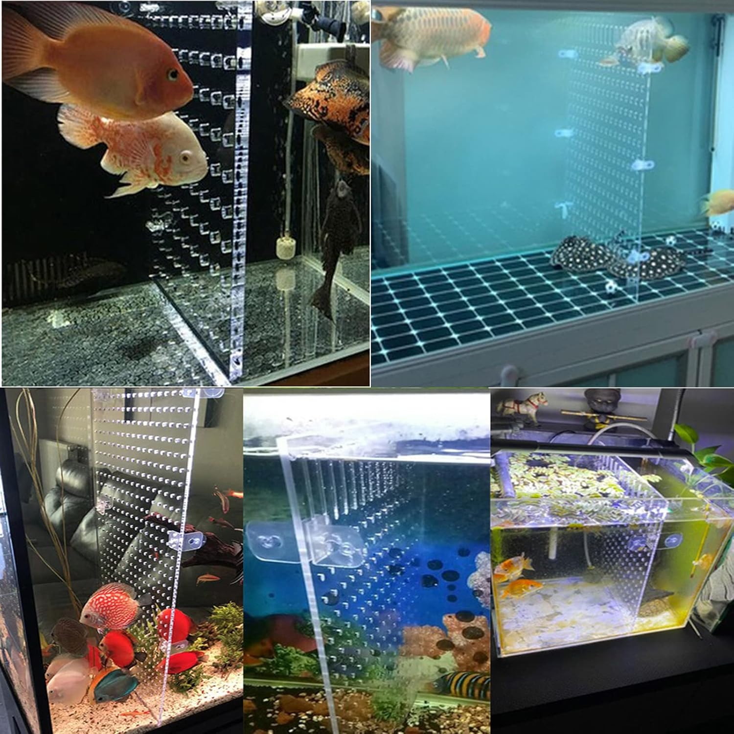 Fish Tank Divider Aquarium Acrylic Isolation Grid Board Divider with Suction Cups Accessories Transparent Plate Baffle Blocking Fish Partition Net Freshwater Ornament 25x30cm/9.84x11.81in