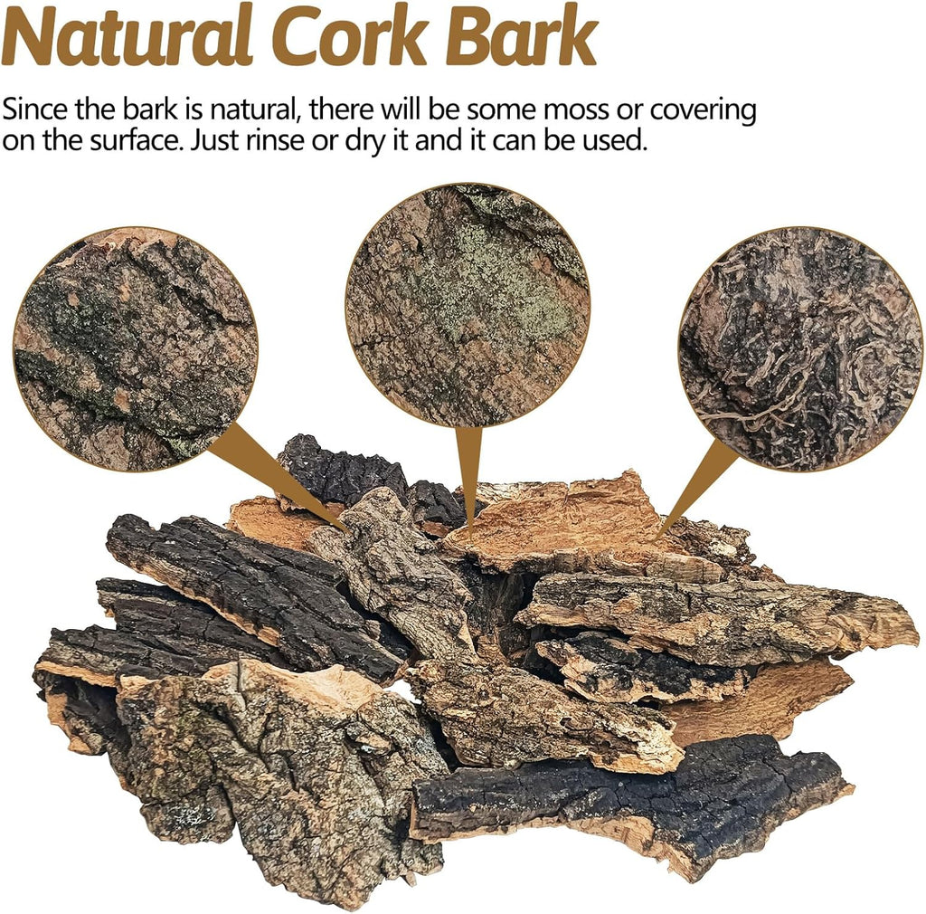 BNOSDM Reptile Cork Bark Substrate 16oz Tortoise Bedding for Habitat Natural Flat Cork Wood Bulk Terrarium Reusable Champagne Bark for Lizard, Crested Gecko, Spider, Chameleon, Ball Python, Tree Frog