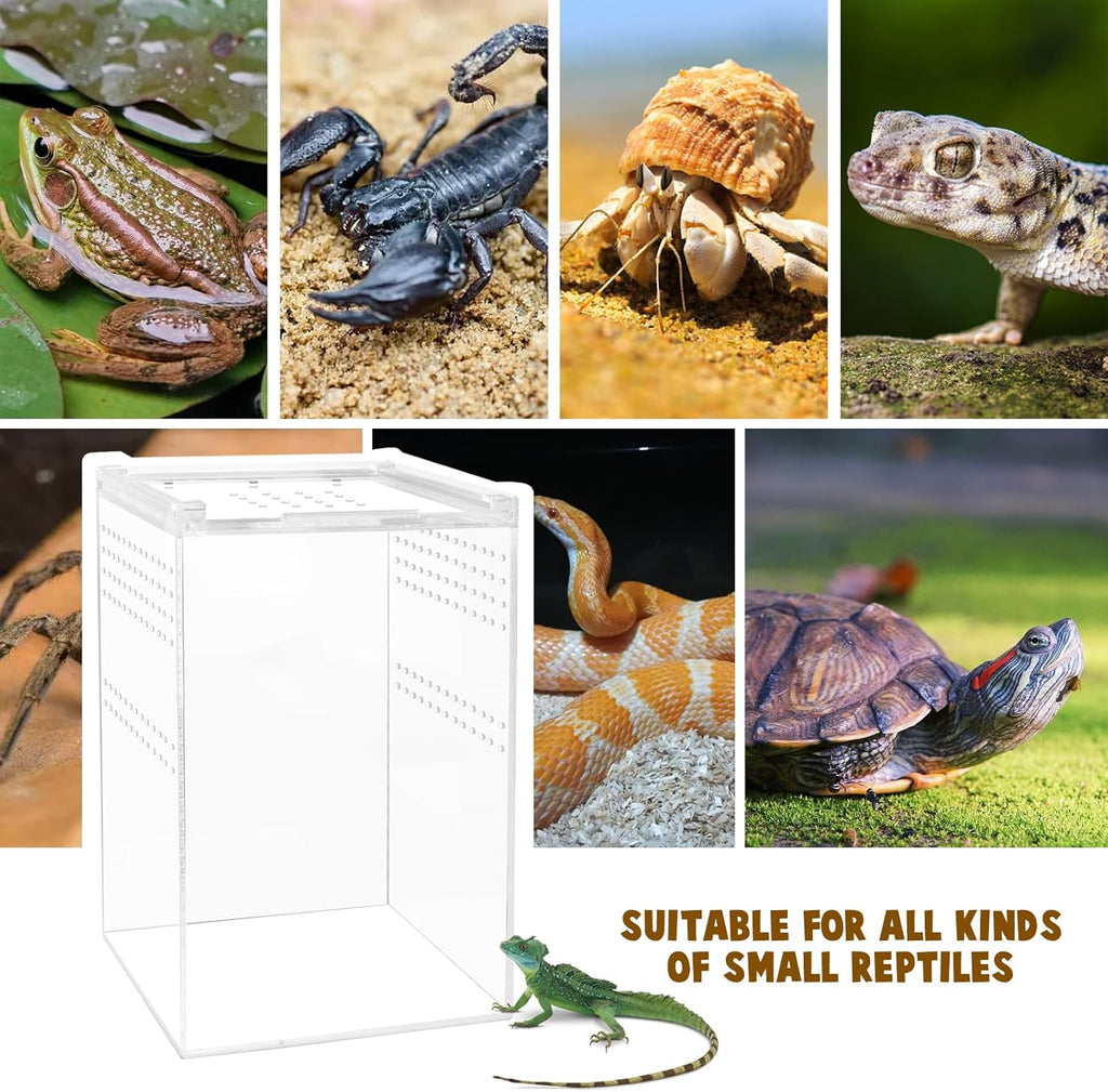 Jumping Spider Enclosure with Magnetic Button,6 * 6 * 8" Thickened Tarantula Reptile Enclosure，One-Piece Acrylic Reptile Terrariums for Spider,Praying Mantis,Tarantula,Snail,Isopod Enclosure