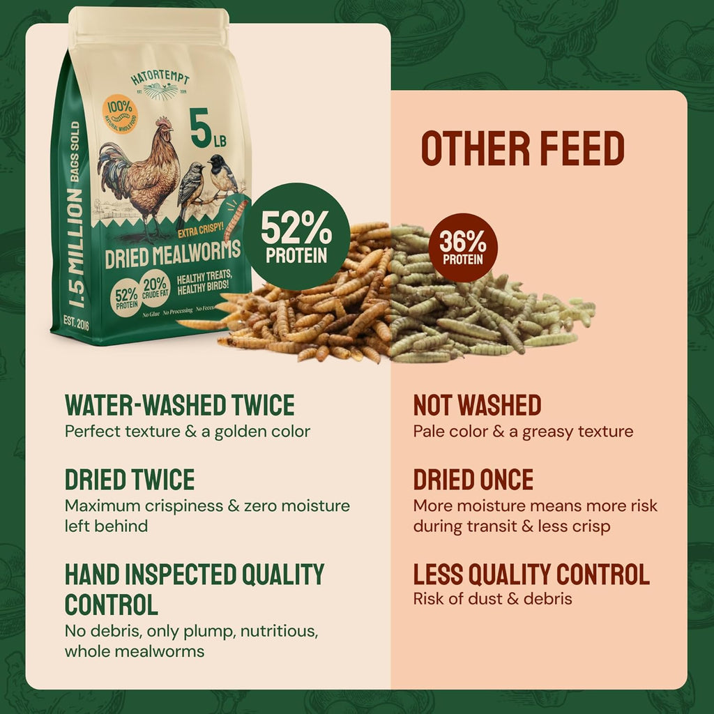 Hatortempt Dried Mealworms - 5 Lb, Non-GMO & Organic - High-Protein Mealworms for Wild Birds & Ducks, Chicken Treats & Bird Food