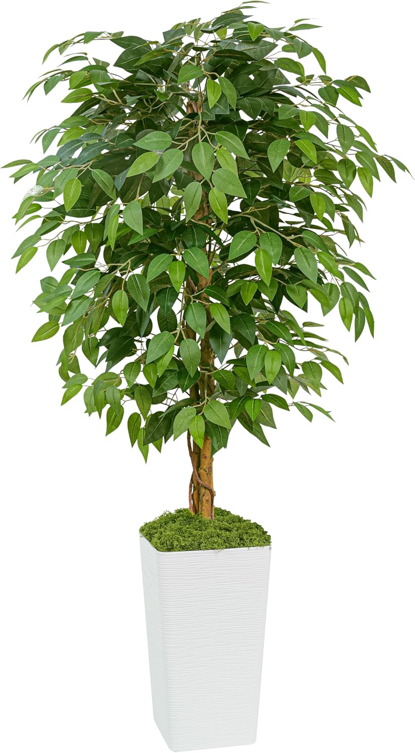 Artificial Ficus Tree 6FT Tall, Artificial Tree Faux Silk Plant in Black Potted, Fake Tree, Faux Potted Tree for Home Office Living Room Decoration Modern