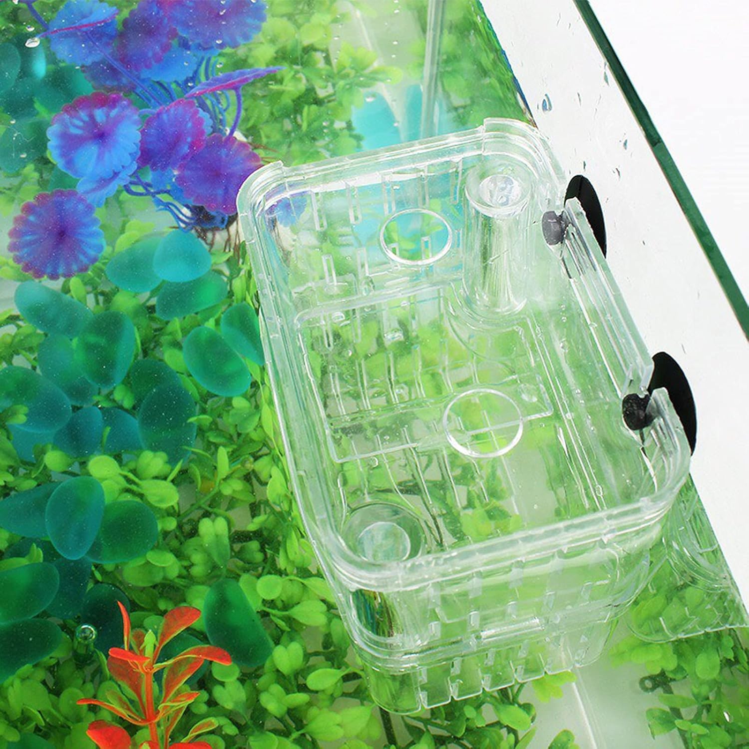 Still Awake Aquarium Fish Breeder Box Plastic Fish Isolation Breeding Box Hatching Incubator Box for Baby Fish Shrimp Clownfish Guppy （L）