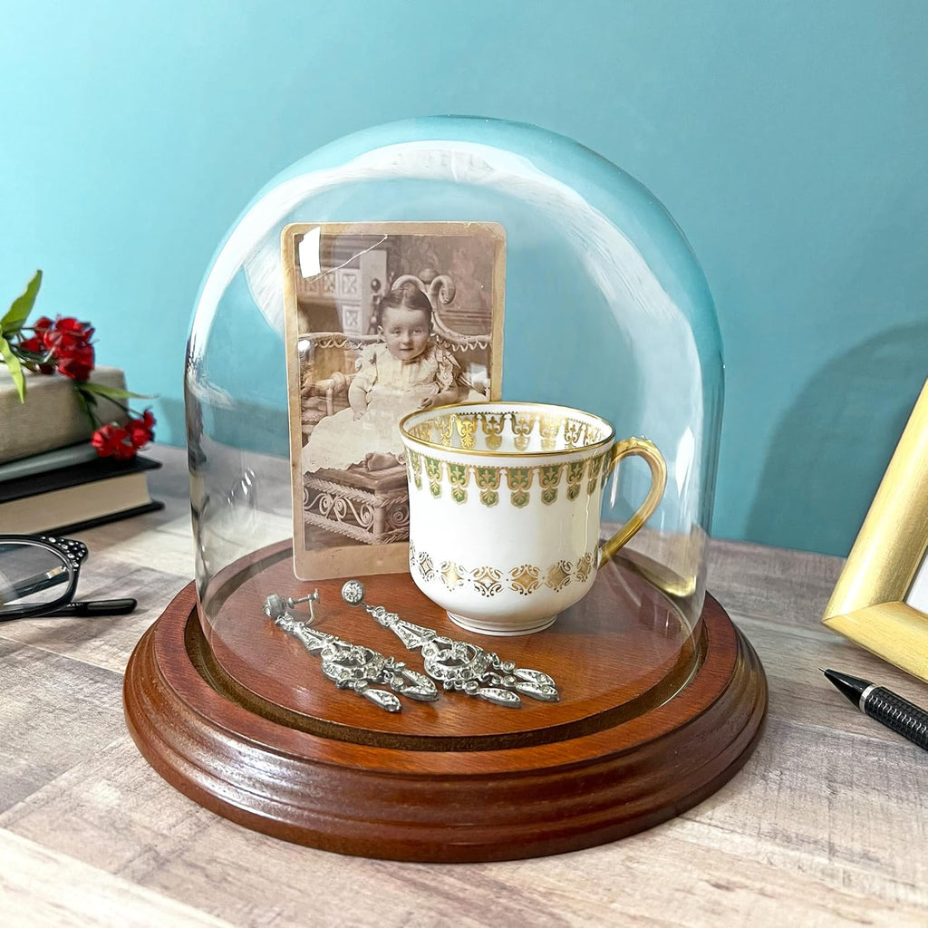 Plymor 5.5" x 5.5" Glass Display Dome Cloche (Walnut Veneer Base)