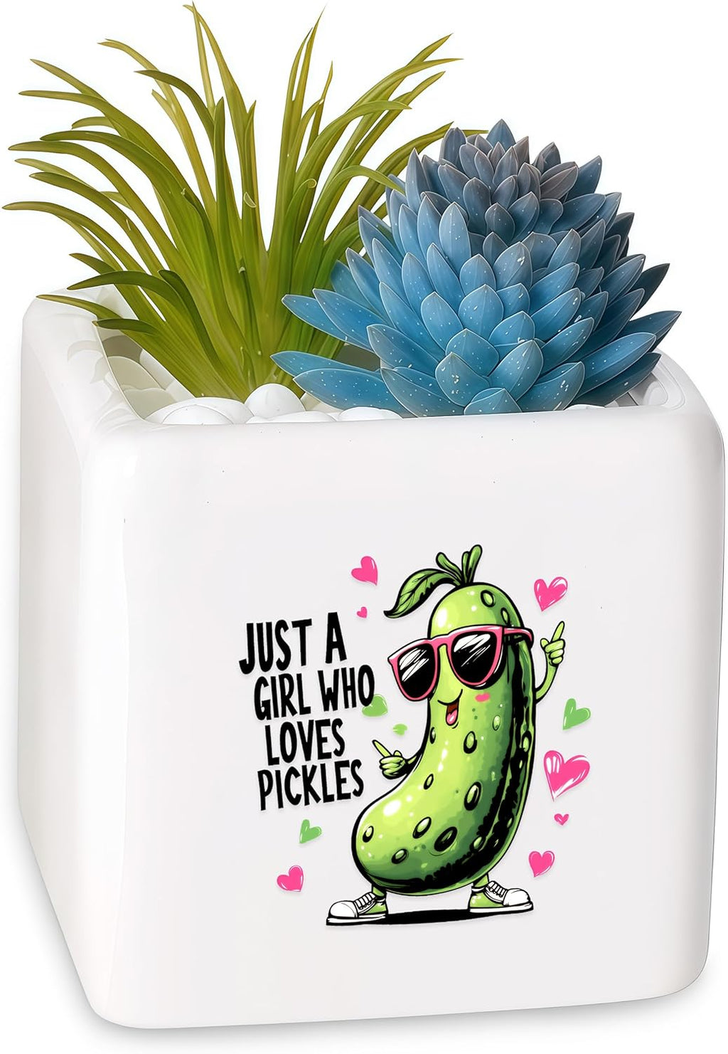 Pickle Succulent Planter Flower Plant Pot Small, Gifts for Women Teens Girls Kids, Pickle Lovers Themed Stuff Accessories Things Decor Merch, Home Office Table Desk Decoration!