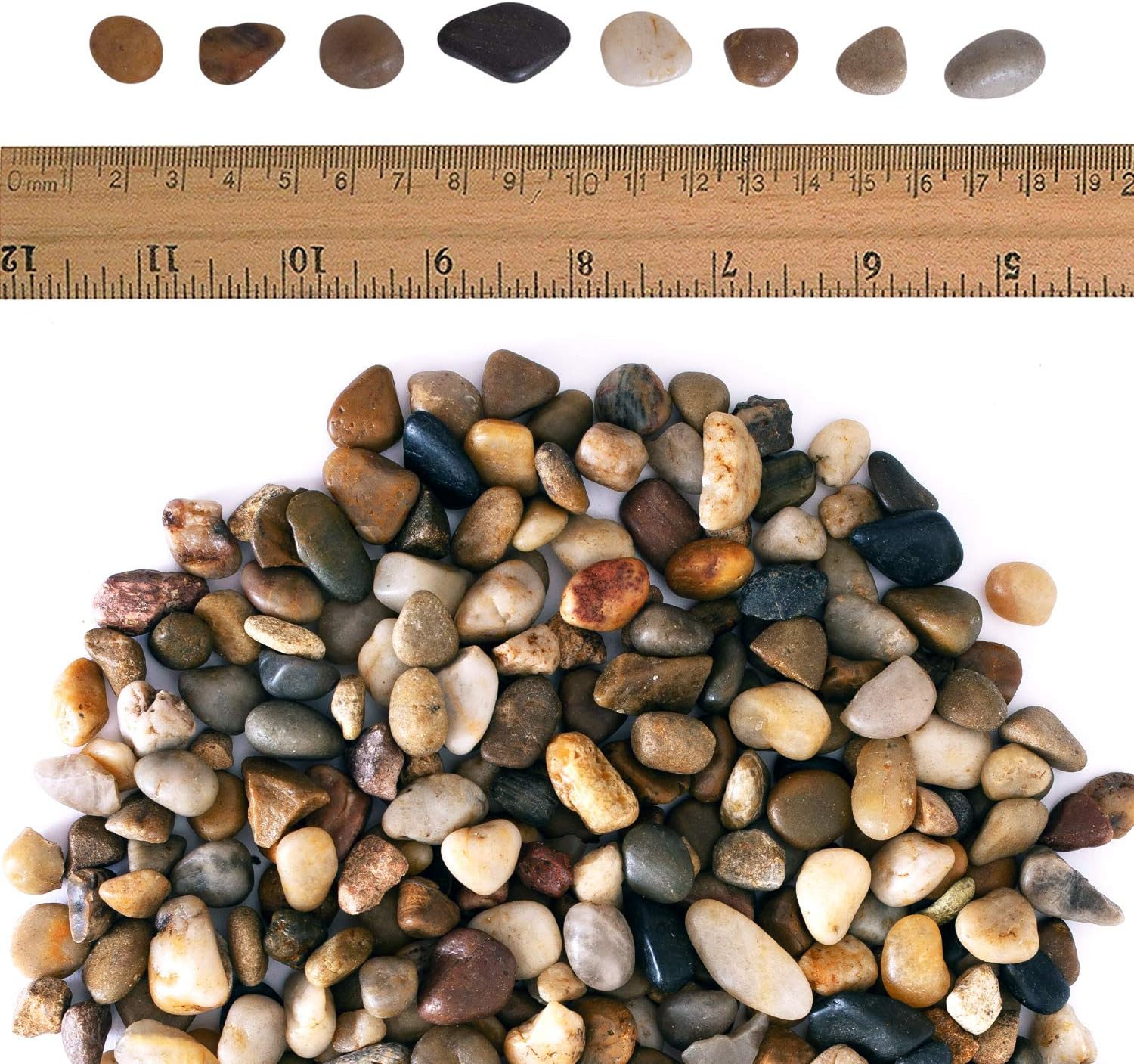 5 lbs Approx. 430 River Rocks Stones for Plants Pebbles for Indoor Plants | Aquarium Fish Tank Rocks | Polished Decorative Rocks for Vases (0.3-0.6 Inches)