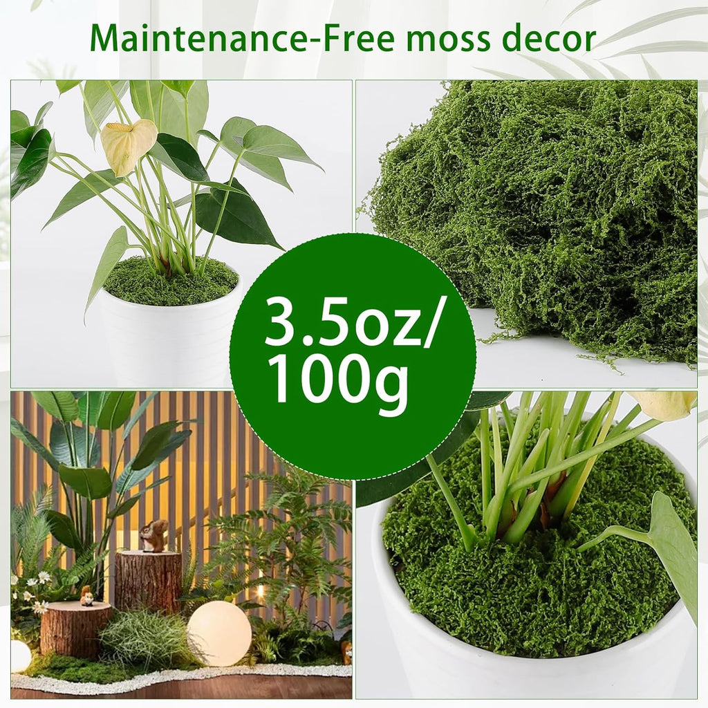 Yomirduy Artificial Moss for Crafts, 3.5OZ Fake Green Moss for Potted Plants, DIY Decorative, Walls, Table Centerpieces Decor Fairy Garden Model Making (100g)