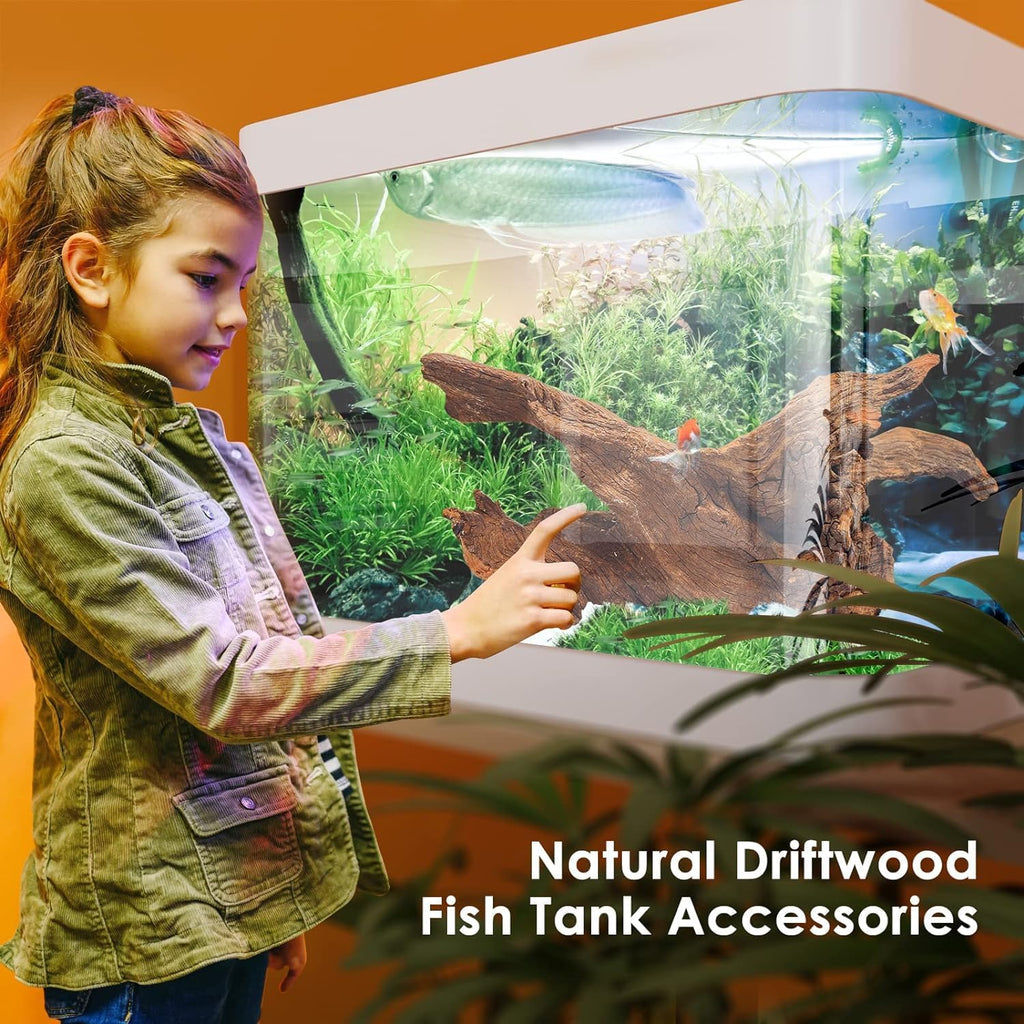 Natural Small Aquarium Driftwood for Fish Tanks & Reptile Terrariums – 100% Safe Fish Tank Decorations, Unique Twisted Branches 5-Piece 4-8 Inch Low Tannin, Easy to Sink