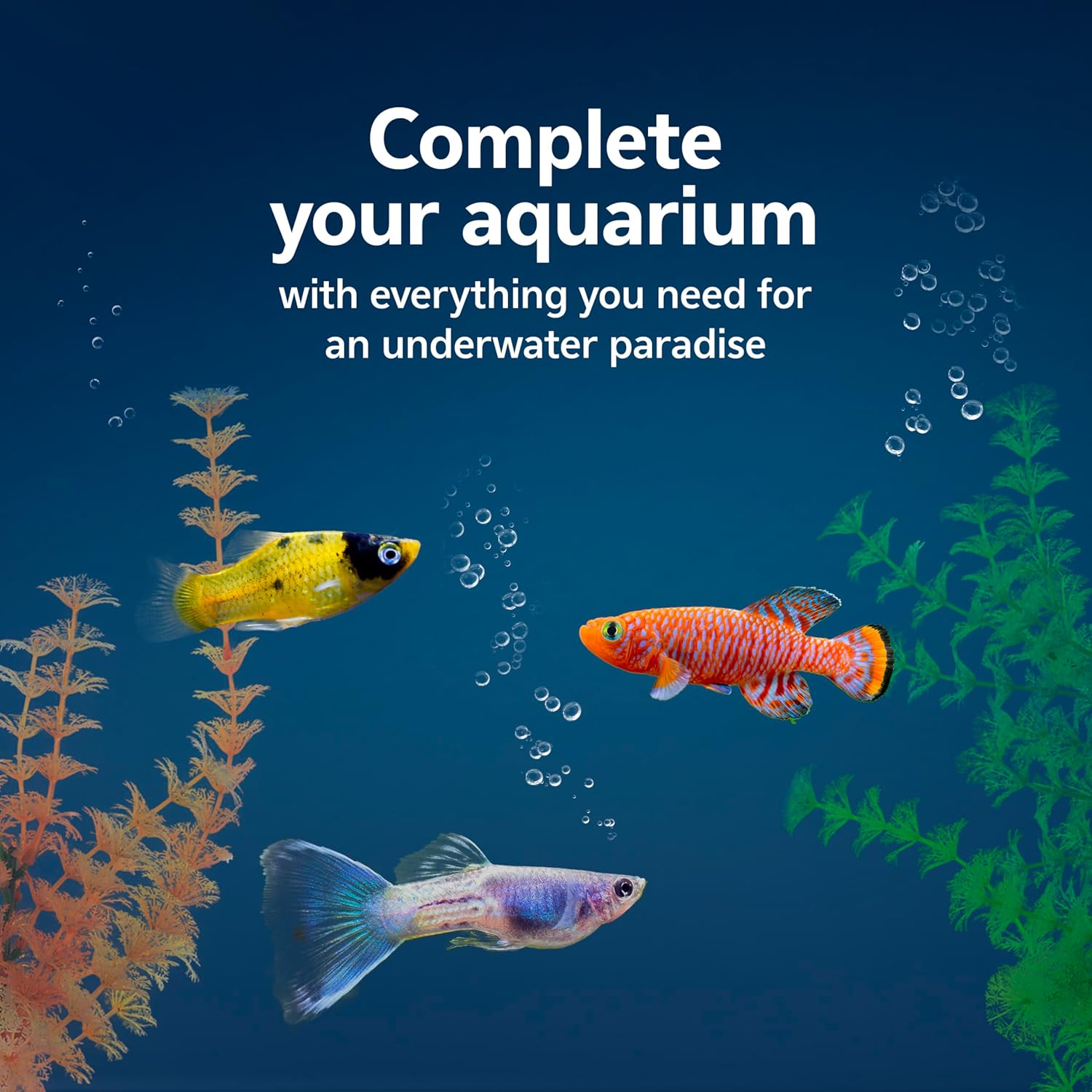 Aqueon Fish Tank Aquarium Essentials Starter Kit for 29 Gallon Tanks