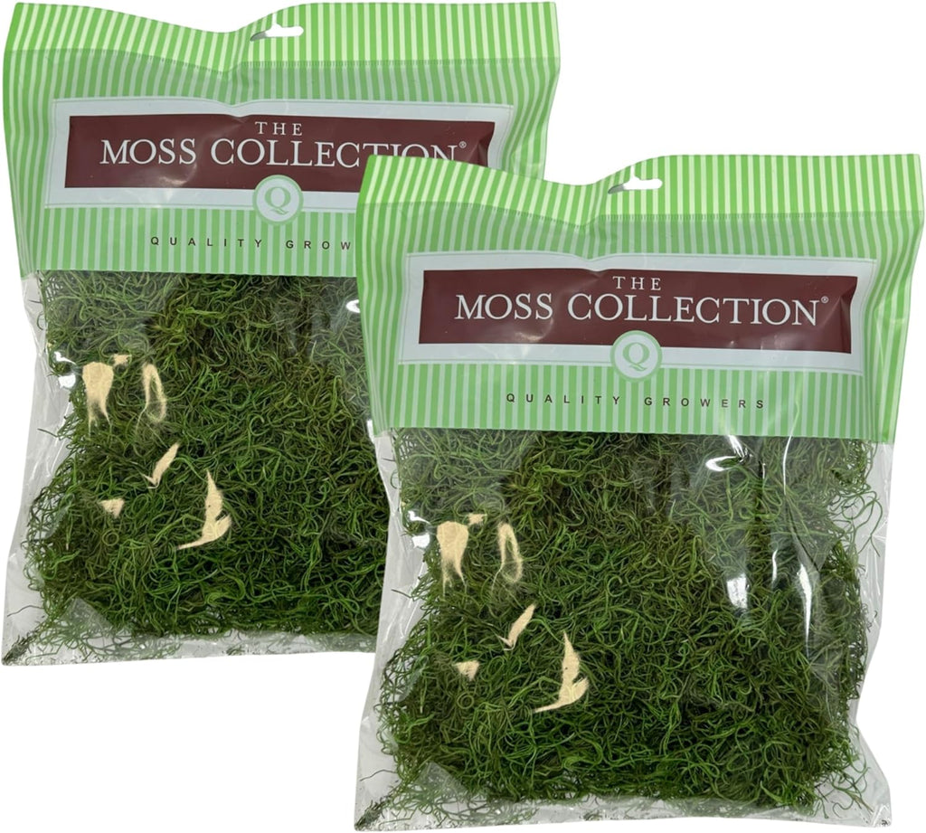 Preserved Spanish Moss - Premium Decorative Moss for Crafts, Home Décor, Art, Design & DIY Projects - Real Moss - Non-Toxic, USA-Made (Green Apple, Medium, 2-Pack)