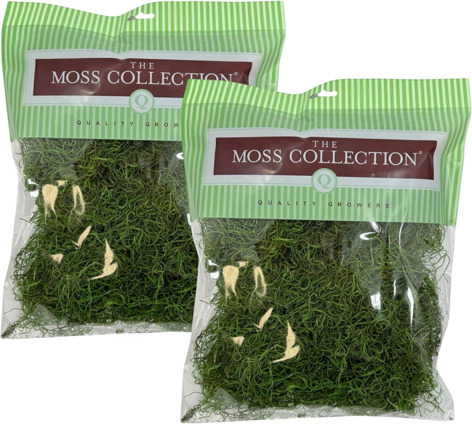 Preserved Spanish Moss - Premium Decorative Moss for Crafts, Home Décor, Art, Design & DIY Projects - Real Moss - Non-Toxic, USA-Made (Green Apple, Medium, 2-Pack)
