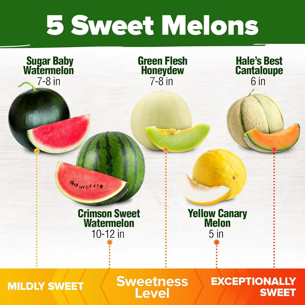 HOME GROWN Melon Seeds Variety Pack 5 Heirloom Vegetable Seeds, Watermelon Cantaloupe Honeydew Sugar Baby & Melon, High Germination for Planting Home Garden Indoors