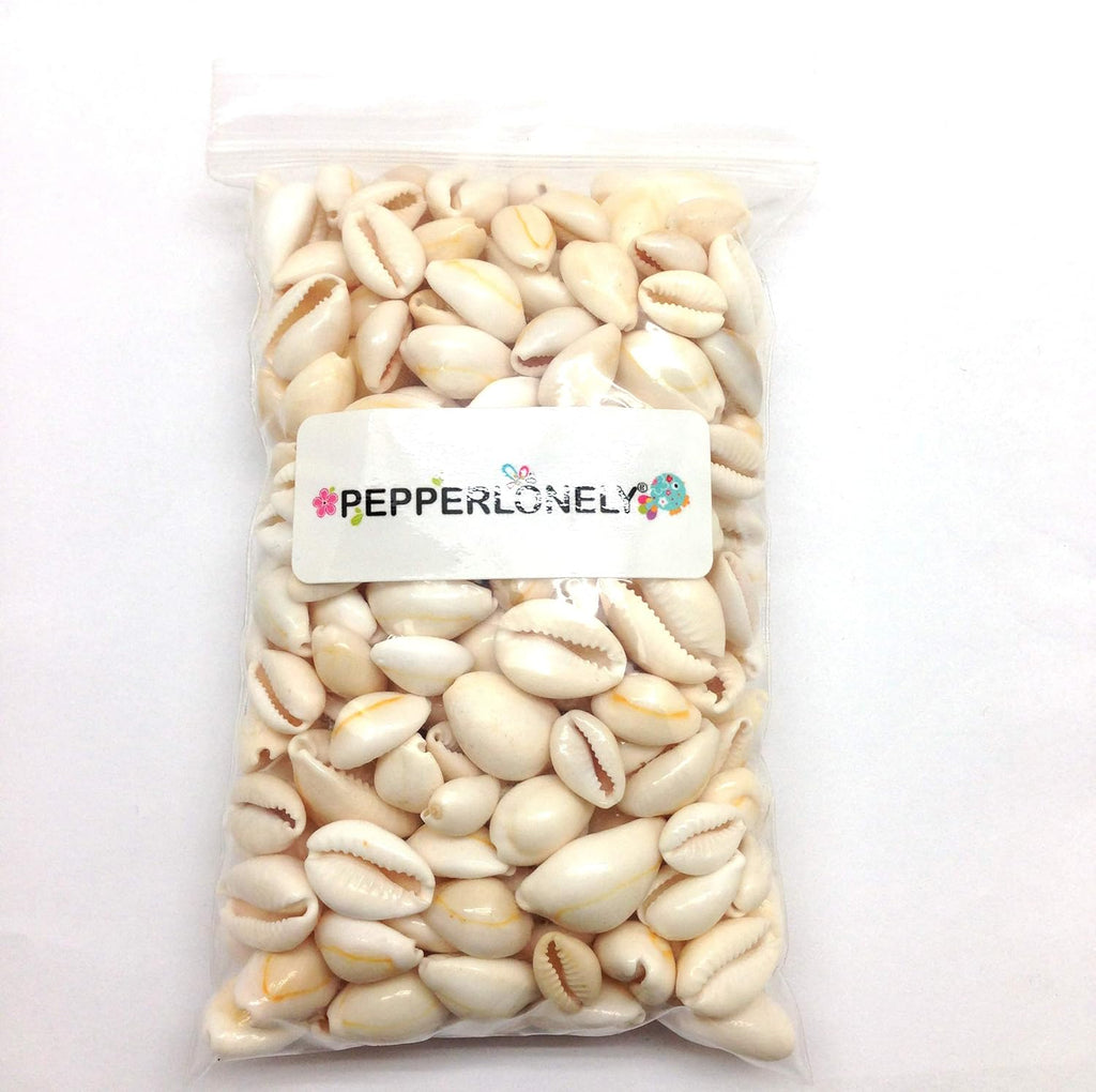 PEPPERLONELY White Ring Top Cowrie Sea Shells, 8 OZ Approx, 1/2 Inch ~ 1 Inch
