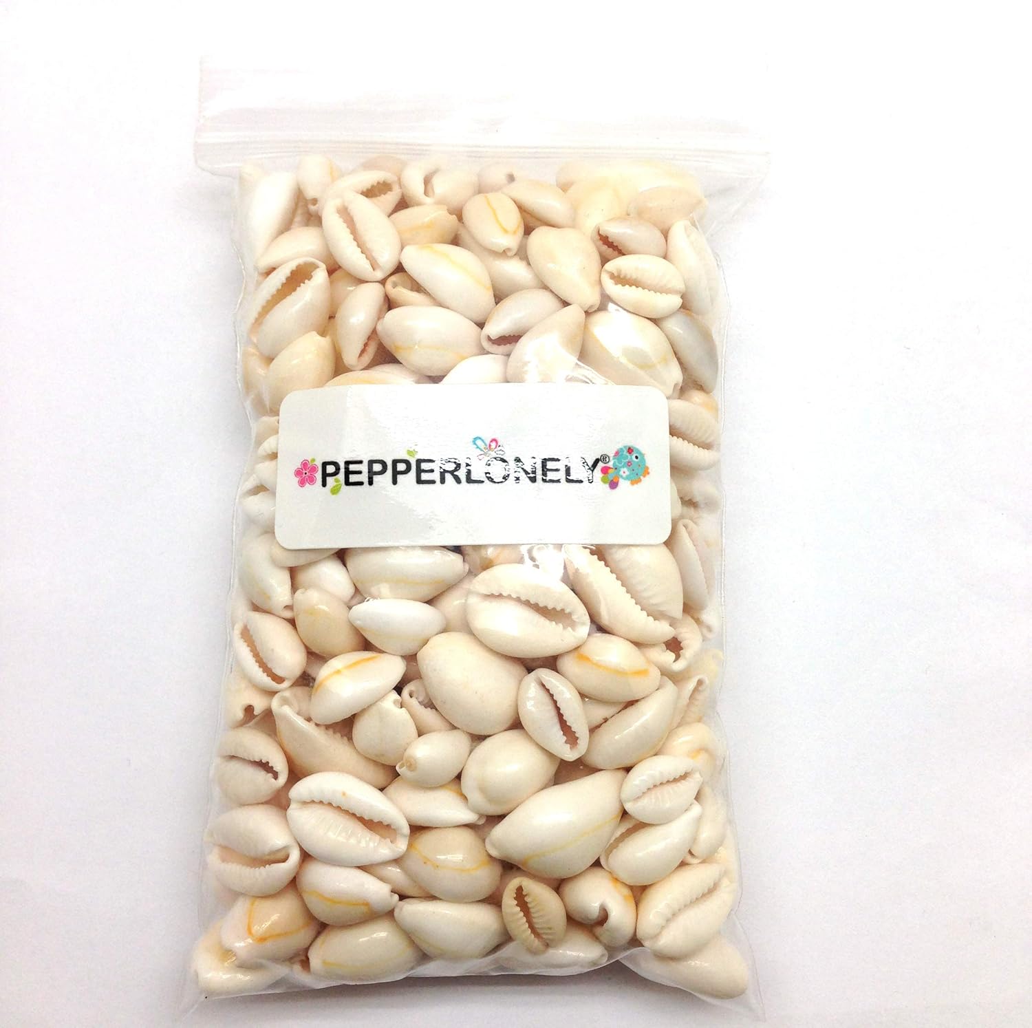 PEPPERLONELY White Ring Top Cowrie Sea Shells, 8 OZ Approx, 1/2 Inch ~ 1 Inch