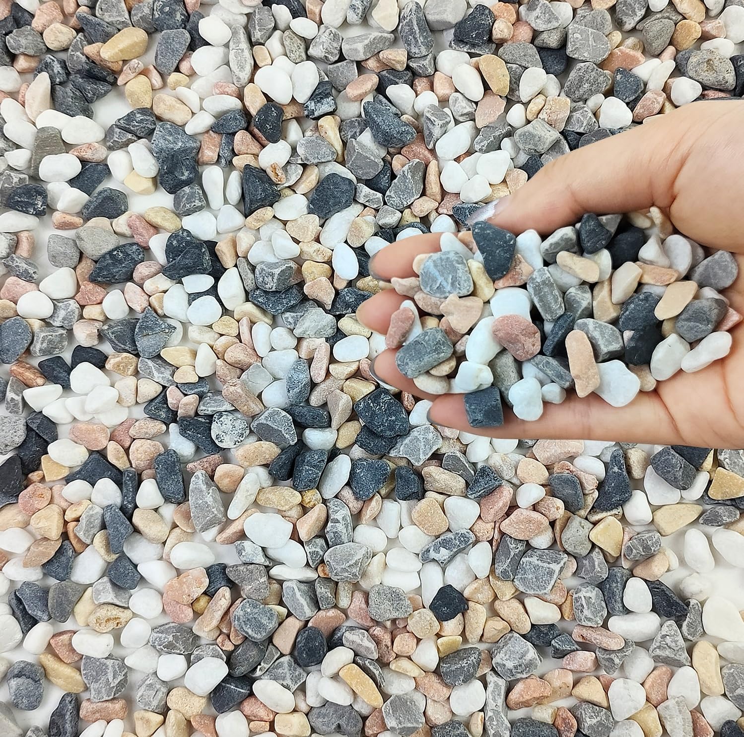 2 lbs Succulent and Cactus Pebbles Gravel, 3/8 Inch Mixed Color Decorative River Rocks for Plants Indoor, Vases, Terrarium, Potted Top Dressing and Outdoor Decorative Stones