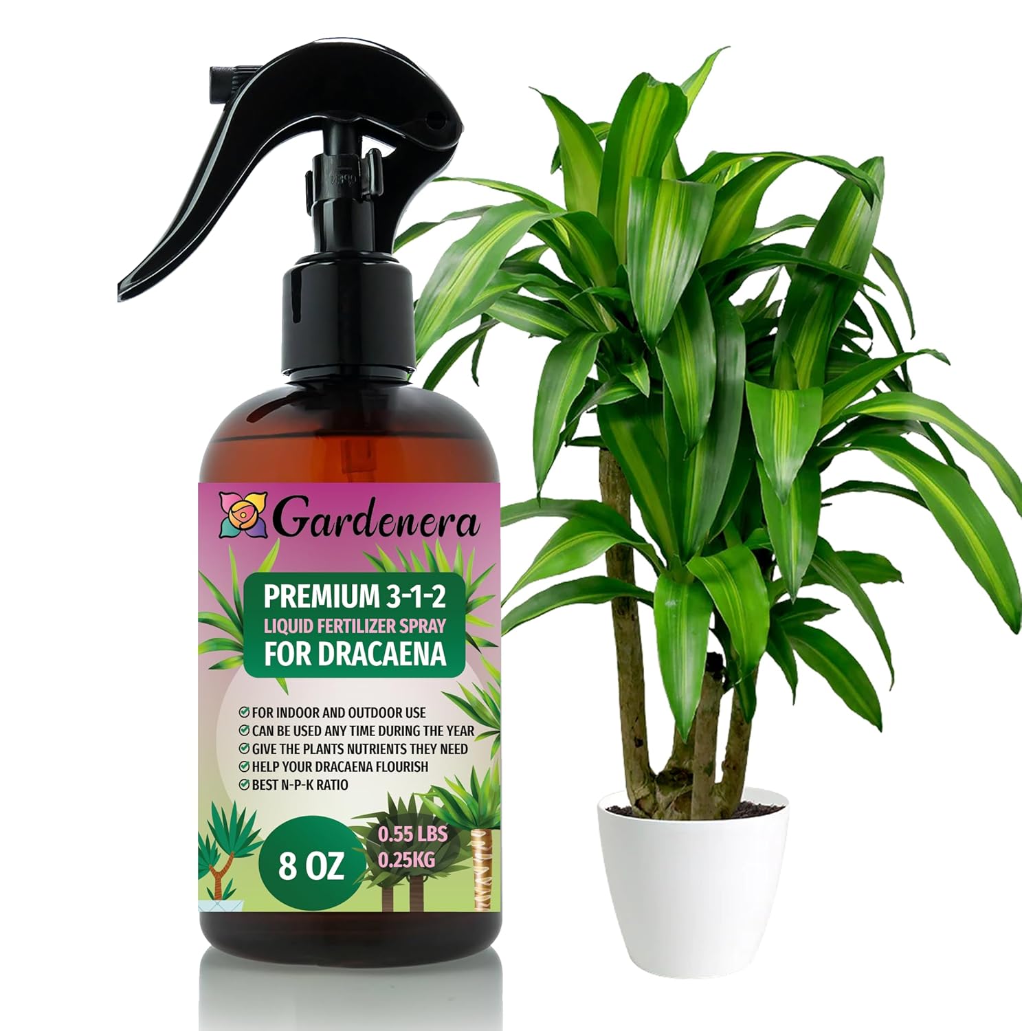 Gardenera Proffesional Dracaena Spray Fertilizer Mist for Home Gardening | 3-1-2 Gentle Blend Mist for Healthy Leaves & Growth | Essential Nutrients for Dracaena Plants - 8oz