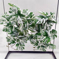 Reptile Plants for Terrarium, Amphibian Habitat Decor Artificial Hanging Plants with Suction Cup, Artificial Plants for Gecko Chameleon Snake Tortoise Tank Accessories. 2-Pack (Monstera)