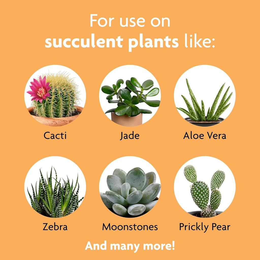 Miracle-Gro Succulent Plant Food, 8 oz., For Succulents including Cacti, Jade, And Aloe