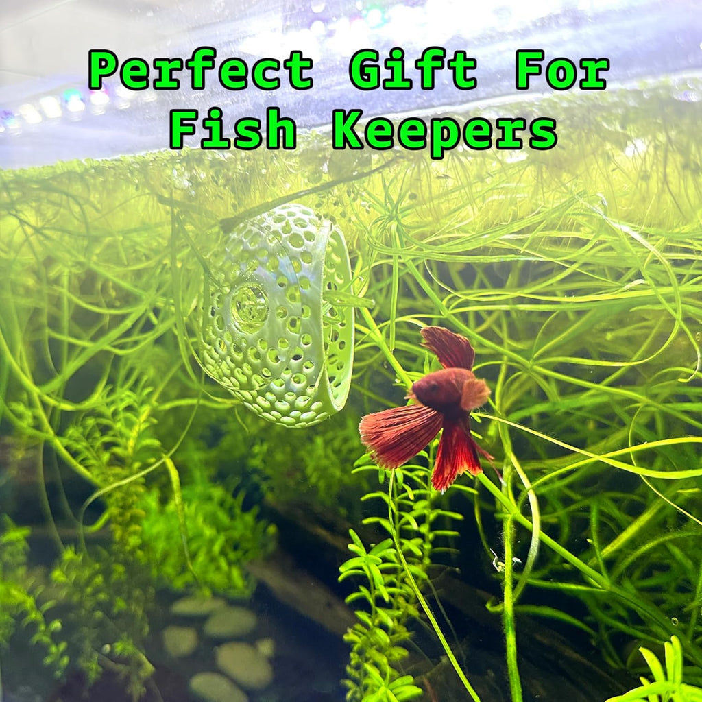 CTWPets Natural Betta Bulb Hide | Betta Rest Fish Tank Ornament | Aquarium Cave with Suction Cup for Small Fish Tank, Betta Habitat, Shrimp Hideout, Aquatic Decor (Transparent)