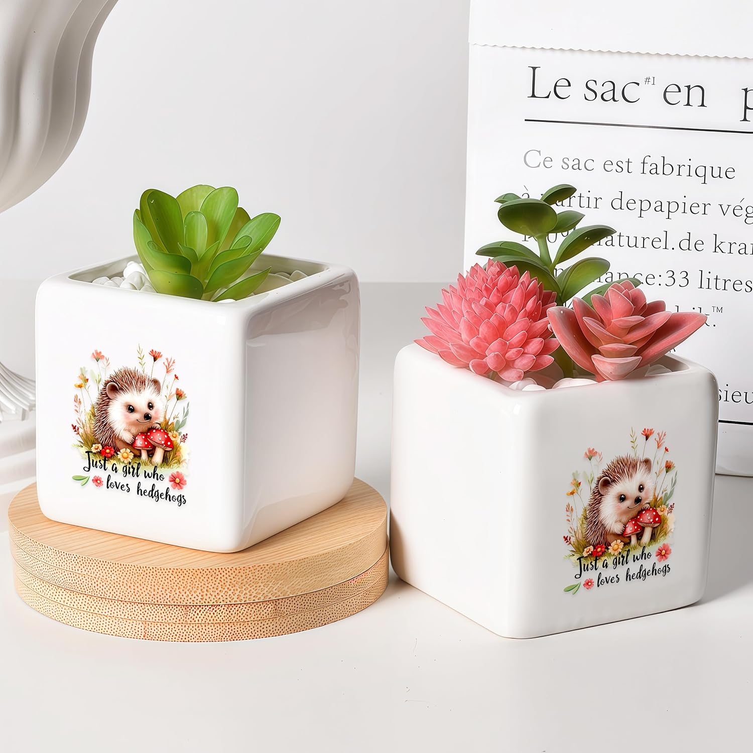 Hedgehog Succulent Planter Flower Plant Pot Small, Gifts for Women Teens Girls Kids, Hedgehog Lovers Themed Stuff Accessories Things Decor Merch, Home Office Table Desk Decoration!