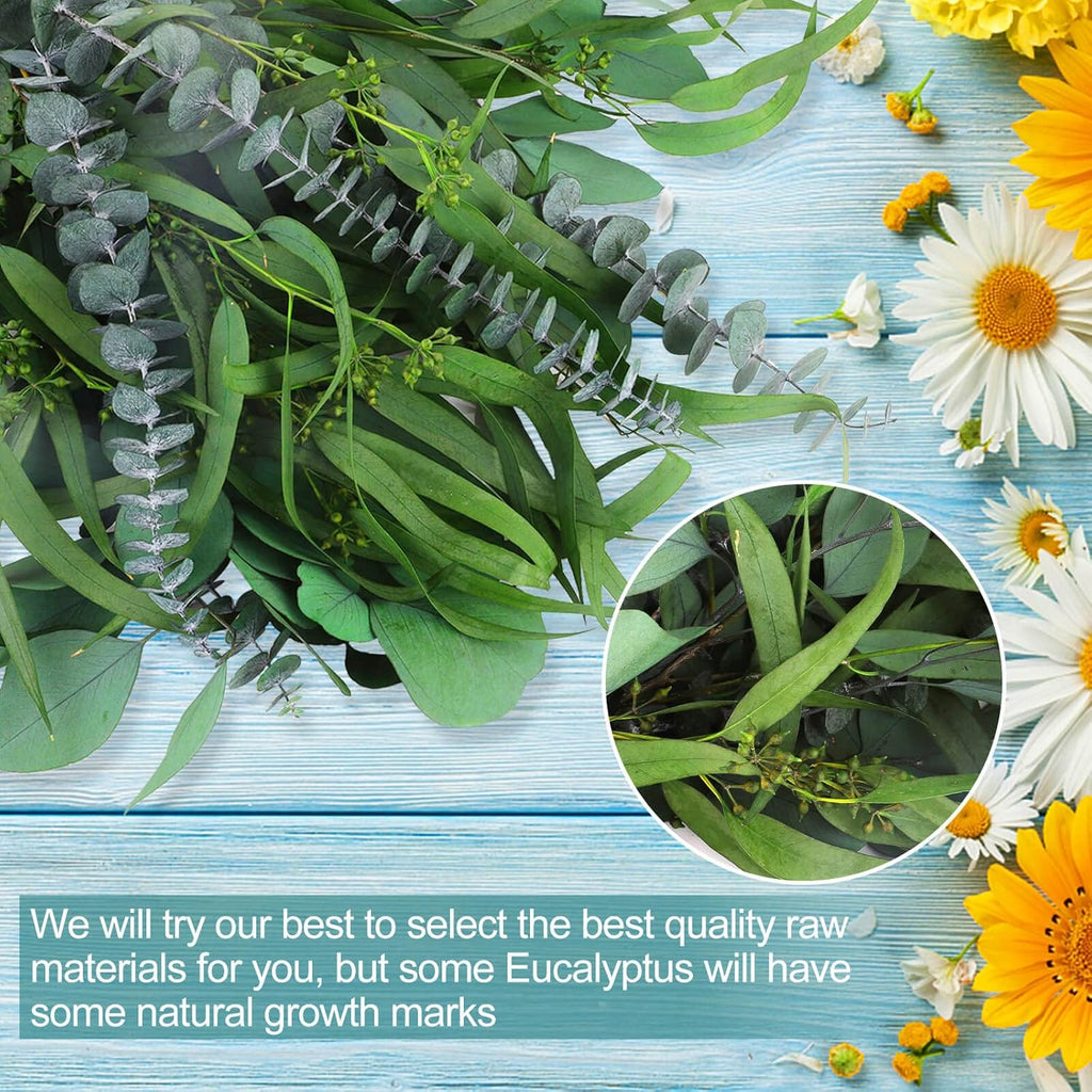 12Pcs Mixed Real Dried Eucalyptus Leaves Stems - Preserved Plant Branches, Silver Dollar Eucalyptus, Seeded Eucalyptus Bouquets for Vase Floral Arrangements Wedding Greenery Decor
